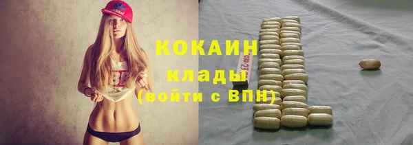 ПСИЛОЦИБИНОВЫЕ ГРИБЫ Армянск