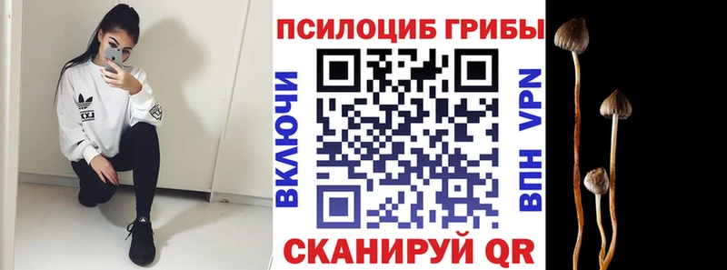 наркошоп Бузулук Псилоцибиновые грибы Cubensis